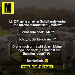 Ich (34) gehe an einer Schafherde vorbei
und mache automatisch: „Määäh“.

Schaf antwortet: „Mäh“.

Ich: „Ja, denke ich a