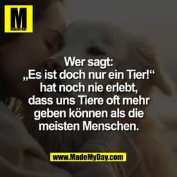 Wer sagt:
„Es ist doch nur ein Tier!“
hat noch nie erlebt,
dass uns Tiere oft mehr
geben können als die
meisten Menschen