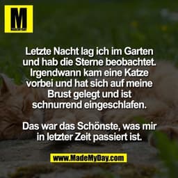 Letzte Nacht lag ich im Garten
und hab die Sterne beobachtet.
Irgendwann kam eine Katze
vorbei und hat sich auf meine
Br