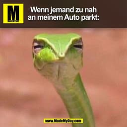 Wenn jemand zu nah
an meinem Auto parkt:
(BILD)