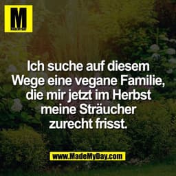 Ich suche auf diesem
Wege eine vegane Familie,
die mir jetzt im Herbst
meine Sträucher
zurecht frisst.