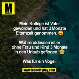 Mein Kollege ist Vater
geworden und hat 3 Monate
Elternzeit genommen. 🥰

Währenddessen ist er
ohne Frau und Kind 3 Mona