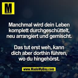 Manchmal wird dein Leben
komplett durchgeschüttelt,
neu arrangiert und gemischt.

Das tut erst weh, kann
dich aber dorth