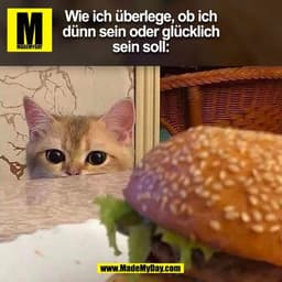 Wie ich überlege, ob ich
dünn sein oder glücklich
sein soll:
(BILD)