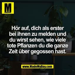 Hör auf, dich als erster
bei ihnen zu melden und
du wirst sehen, wie viele
tote Pflanzen du die ganze
Zeit über gegossen