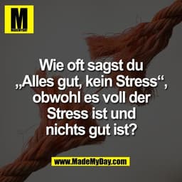 Wie oft sagst du
„Alles gut, kein Stress“,
obwohl es voll der
Stress ist und
nichts gut ist?
