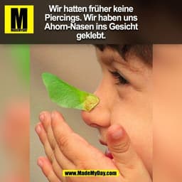 Wir hatten früher keine
Piercings. Wir haben uns
Ahorn-Nasen ins Gesicht
geklebt.
(BILD)