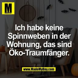 Ich habe keine
Spinnweben in der
Wohnung, das sind
Öko-Traumfänger.