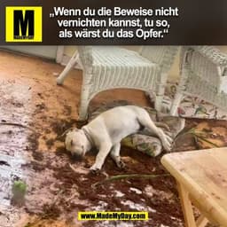 „Wenn du die Beweise nicht
vernichten kannst, tu so,
als wärst du das Opfer.“
(BILD)