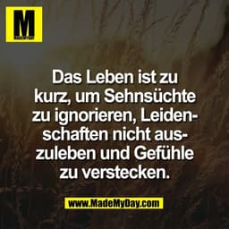 Das Leben ist zu
kurz, um Sehnsüchte
zu ignorieren, Leiden-
schaften nicht aus-
zuleben und Gefühle
zu verstecken.