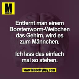 Entfernt man einem
Borstenworm-Weibchen
das Gehirn, wird es
zum Männchen.

Ich lass das einfach
mal so stehen.