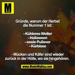 Gründe, warum der Herbst
die Nummer 1 ist:

-̶ ̶K̶ü̶h̶l̶e̶r̶e̶s̶ ̶W̶e̶t̶t̶e̶r̶ ̶
-̶ ̶H̶a̶l̶l̶o̶w̶e̶e̶n̶ ̶
-̶ ̶c̶o̶o̶l̶e̶