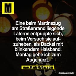 Eine beim Martinszug
am Straßenrand liegende
Laterne entpuppte sich,
beim Versuch sie auf-
zuheben, als Dackel mit
blink