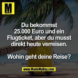 Du bekommst
25.000 Euro und ein
Flugticket, aber du musst
direkt heute verreisen.

Wohin geht deine Reise?
