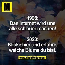 1998:
Das Internet wird uns
alle schlauer machen!

2023:
Klicke hier und erfahre,
welche Blume du bist.