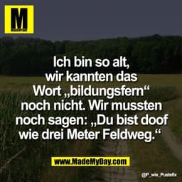 Ich bin so alt,
wir kannten das
Wort „bildungsfern“
noch nicht. Wir mussten
noch sagen: „Du bist doof
wie drei Meter Fel