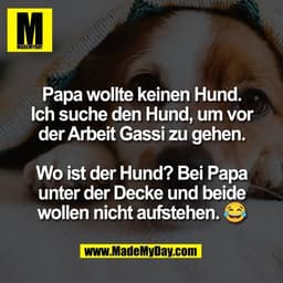 Papa wollte keinen Hund.
Ich suche den Hund, um vor
der Arbeit Gassi zu gehen.

Wo ist der Hund? Bei Papa
unter der Deck