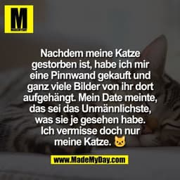Nachdem meine Katze
gestorben ist, habe ich mir
eine Pinnwand gekauft und
ganz viele Bilder von ihr dort
aufgehängt. Mei