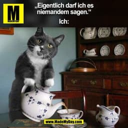 „Eigentlich darf ich es
niemandem sagen.“

Ich:
(BILD)
