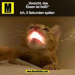 „Vorsicht, das
Essen ist heiß!“

Ich, 5 Sekunden später:
(BILD)