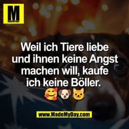Weil ich Tiere liebe
und ihnen keine Angst
machen will, kaufe
ich keine Böller. 
🥰🐶🐱