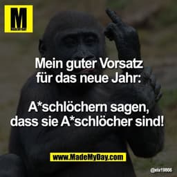 Mein guter Vorsatz
für das neue Jahr:

A*schlöchern sagen,
dass sie A*schlöcher sind!