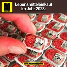 Lebensmitteleinkauf
im Jahr 2023:
(BILD)