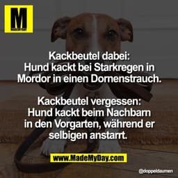 Kackbeutel dabei:
Hund kackt bei Starkregen in
Mordor in einen Dornenstrauch.

Kackbeutel vergessen:
Hund kackt beim Nac