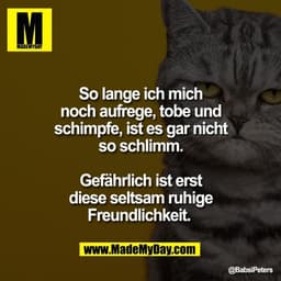 So lange ich mich
noch aufrege, tobe und
schimpfe, ist es gar nicht
so schlimm.

Gefährlich ist erst
diese seltsam ruhig