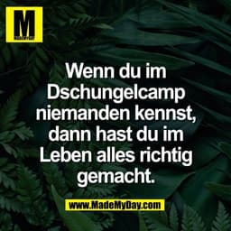 Wenn du im
Dschungelcamp
niemanden kennst,
dann hast du im
Leben alles richtig
gemacht.