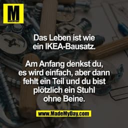 Das Leben ist wie
ein IKEA-Bausatz.

Am Anfang denkst du,
es wird einfach, aber dann
fehlt ein Teil und du bist
plötzlic