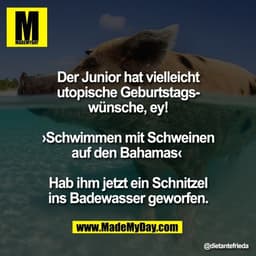 Der Junior hat vielleicht
utopische Geburtstags-
wünsche, ey!

›Schwimmen mit Schweinen
auf den Bahamas‹ 

Hab ihm jetzt