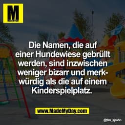 Die Namen, die auf
einer Hundewiese gebrüllt
werden, sind inzwischen
weniger bizarr und merk-
würdig als die auf einem
K