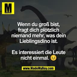 Wenn du groß bist,
fragt dich plötzlich
niemand mehr, was dein
Lieblingsdino ist.

Es interessiert die Leute
nicht einma