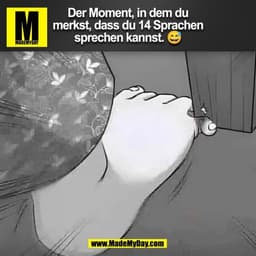 Der Moment, in dem du
merkst, dass du 14 Sprachen
sprechen kannst. 😅
(BILD)