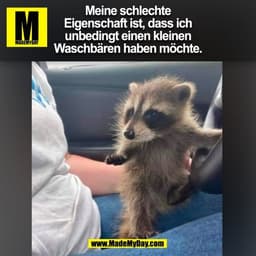 Meine schlechte
Eigenschaft ist, dass ich
unbedingt einen kleinen
Waschbären haben möchte.
(BILD)