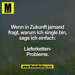 Wenn in Zukunft jemand
fragt, warum ich single bin,
sage ich einfach:

Lieferketten-
Probleme.