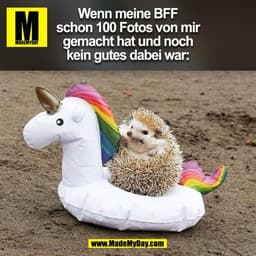 Wenn meine BFF
schon 100 Fotos von mir
gemacht hat und noch
kein gutes dabei war:
(BILD)