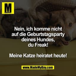 Nein, ich komme nicht
auf die Geburtstagsparty
deines Hundes,
du Freak!

Meine Katze heiratet heute!