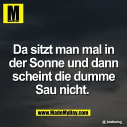 Da sitzt man mal in
der Sonne und dann
scheint die dumme
Sau nicht.