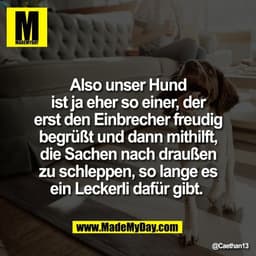 Also unser Hund
ist ja eher so einer, der
erst den Einbrecher freudig
begrüßt und dann mithilft,
die Sachen nach draußen