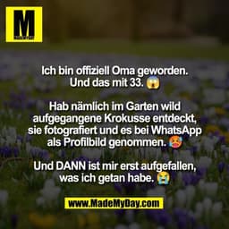 Ich bin offiziell Oma geworden.
Und das mit 33. 😱

Hab nämlich im Garten wild
aufgegangene Krokusse entdeckt,
sie fotog