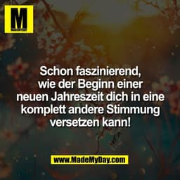 Schon faszinierend,
wie der Beginn einer
neuen Jahreszeit dich in eine
komplett andere Stimmung
versetzen kann!
