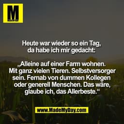 Heute war wieder so ein Tag, 
da habe ich mir gedacht: 

„Alleine auf einer Farm wohnen. 
Mit ganz vielen Tieren. Selbst