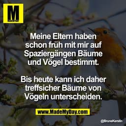 Meine Eltern haben
schon früh mit mir auf
Spaziergängen Bäume
und Vögel bestimmt.

Bis heute kann ich daher
treffsicher 