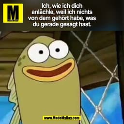 Ich, wie ich dich
anlächle, weil ich nichts
von dem gehört habe, was
du gerade gesagt hast.
(BILD)