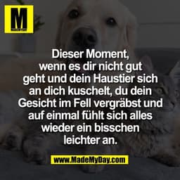 Dieser Moment,
wenn es dir nicht gut
geht und dein Haustier sich
an dich kuschelt, du dein
Gesicht im Fell vergräbst und