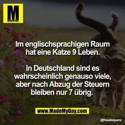 Im englischsprachigen Raum
hat eine Katze 9 Leben.

In Deutschland sind es
wahrscheinlich genauso viele,
aber nach Abzug