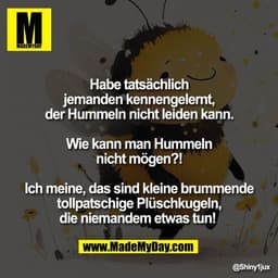 Habe tatsächlich
jemanden kennengelernt,
der Hummeln nicht leiden kann.

Wie kann man Hummeln
nicht mögen?!

Ich meine, 