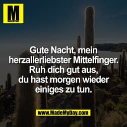 Gute Nacht, mein
herzallerliebster Mittelfinger.
Ruh dich gut aus,
du hast morgen wieder
einiges zu tun.